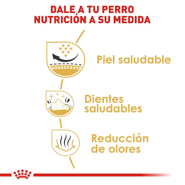 Royal Canin Shih Tzu Adulto Royal Canin Shih Tzu Adulto